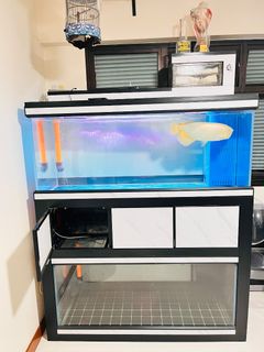 (Category: ) located in . Submitted by jeremysjy (Listing ID 1457526055, Image 1). Description: .