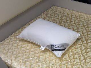 （分類：）位於 。 由 realerickoko 提交（商品編號 1457605584，圖片 1）。簡介： 。