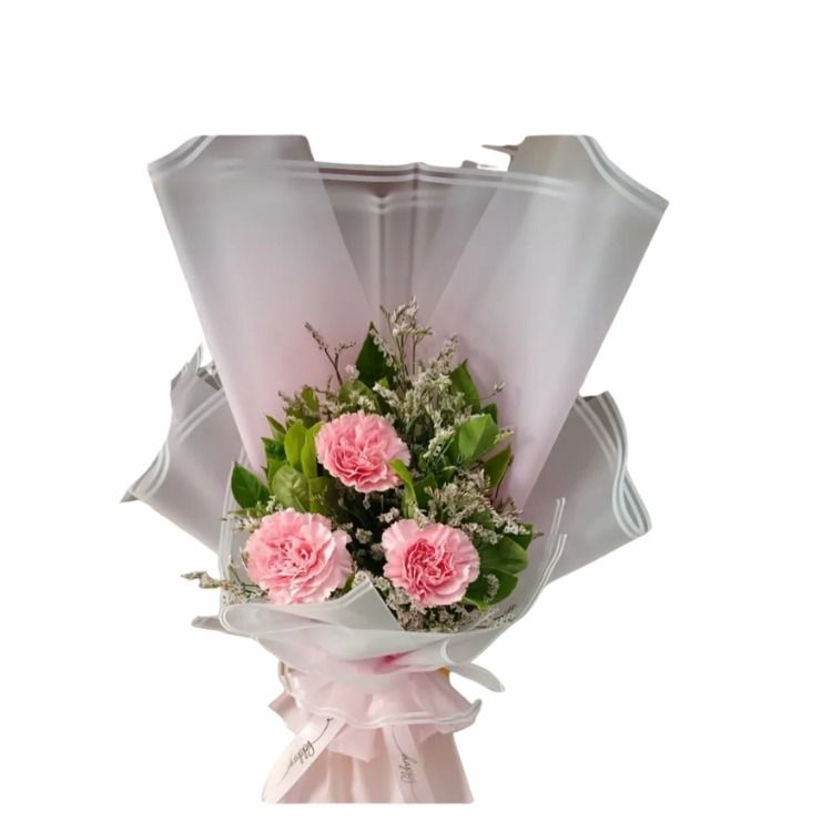 Carnation Collection | Fleur De Luxe (Category: Flowers & Bouquets) located in Pasay City. Submitted by fleurdeluxe (Listing ID 1457535850, Image 3). Description: Carnation Collection | Fleur De Luxe **Description:** Beautifully arranged carnation bouquets, perfect for birthdays, anniversaries, surprises, or simply making someone feel special. 💐 Prices start at ₱2,500 **Delivery Options** 🚗 Same-day delivery available 📦 Nationwide shipping ava