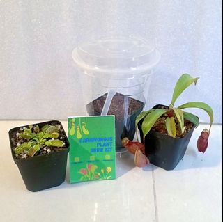 (Category: ) located in . Submitted by midnight_garden (Listing ID 1457649314, Image 1). Description: .