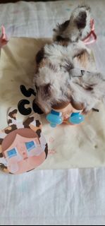 (Category: ) located in . Submitted by missylomo (Listing ID 1457567262, Image 1). Description: .