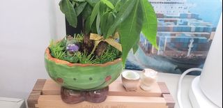 （分類：）位於 。 由 2r_reuse 提交（商品編號 1457554583，圖片 1）。簡介： 。