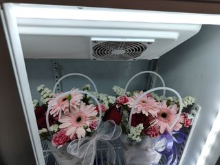 (Category: ) located in . Submitted by beebloomieshq (Listing ID 1457624347, Image 1). Description: .