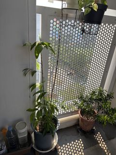 (Category: ) located in . Submitted by josehang (Listing ID 1457536958, Image 1). Description: .