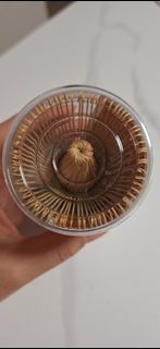 （分類：）位於 。 由 mysticeagle.2afc4a 提交（商品編號 1457638533，圖片 1）。簡介： 。