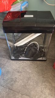 (Category: ) located in . Submitted by sunnygege (Listing ID 1457557019, Image 1). Description: .