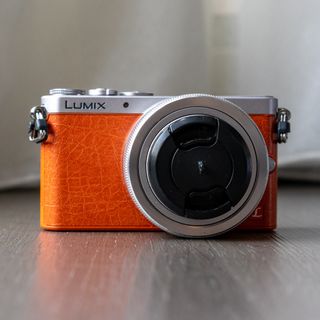 Panasonic Lumix / Olympus Micro 4/3 sytems Collection item 1