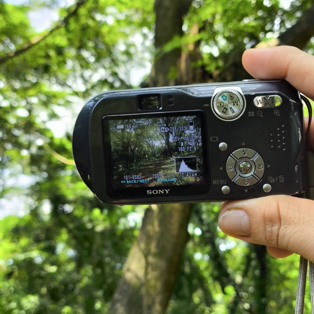 Sony Cybershot P200 (Category: Cameras) located in Tiaong. Submitted by digi.woni (Listing ID 1457637354, Image 2). Description: 📸 SONY Cyber-shot Model: DSC-P200 ✨ 💸 ₱4,499 ✅ Condition • 100% Tested & Fully Working • Autofocus & Zoom Working • Flash Working • Buttons & LCD Fully Functional • Photo & Video Recording Working ‼️ Issue * NONE (minor signs of usage only) 📦 Inclusions * Camera Unit * Battery * Charger * Camera Case * Memory Stick a