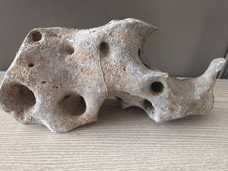 (Category: ) located in . Submitted by ornamental_rocks (Listing ID 1457577672, Image 1). Description: .