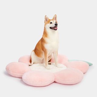 (Category: ) located in . Submitted by tings_things (Listing ID 1457533901, Image 1). Description: .