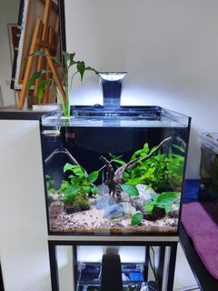 (Category: ) located in . Submitted by gensys118 (Listing ID 1457884444, Image 1). Description: .