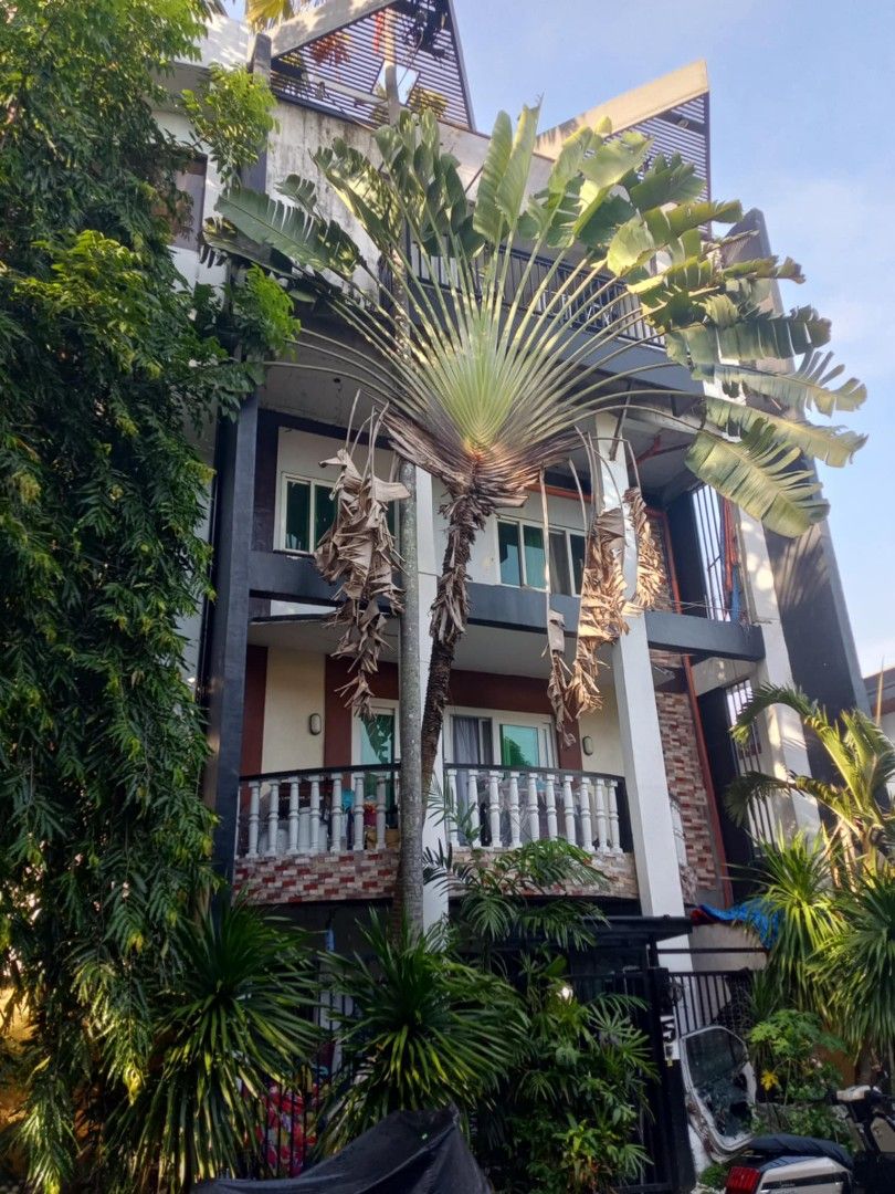 4 floors townhouse for business (Category: Townhouse) located in Quezon City. Submitted by sbvdmanaog (Listing ID 1457782052, Image 1). Description: -best for investors -w existing tenants -1 unit per floor(4 floors).