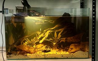 (Category: ) located in . Submitted by built_to_nature (Listing ID 1457799134, Image 1). Description: .