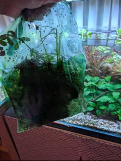 (Category: ) located in . Submitted by alwaysbespringcleaning (Listing ID 1457766376, Image 1). Description: .
