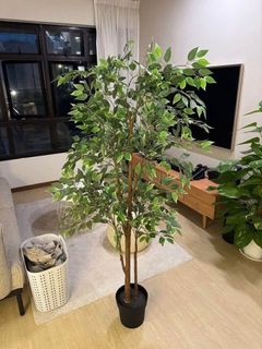 (Category: ) located in . Submitted by platypusbilibili (Listing ID 1457827542, Image 1). Description: .