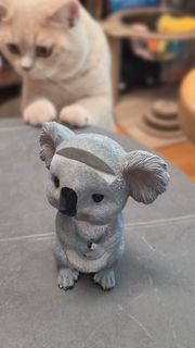 （分類：）位於 。 由 happyyayy 提交（商品編號 1457741335，圖片 1）。簡介： 。
