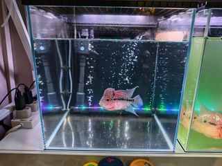 (Category: ) located in . Submitted by jal36 (Listing ID 1457779894, Image 1). Description: .