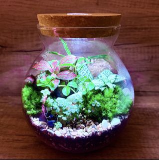 (Category: ) located in . Submitted by lushglassdoor (Listing ID 1457794916, Image 1). Description: .