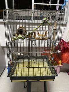 (Category: ) located in . Submitted by sandy_teo (Listing ID 1457711673, Image 1). Description: .