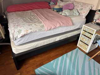 (Category: ) located in . Submitted by rareeagle_9cccae (Listing ID 1457732589, Image 1). Description: .