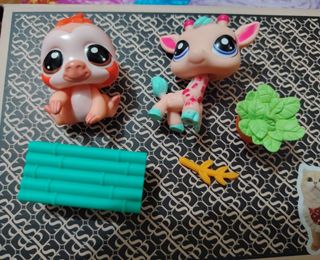 (Category: ) located in . Submitted by naisly12 (Listing ID 1457795807, Image 1). Description: .