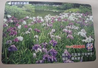 （分類：）位於 。 由 disneyjpass 提交（商品編號 1457878863，圖片 1）。簡介： 。