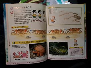 （分類：）位於 。 由 mark898chan 提交（商品編號 1457923432，圖片 1）。簡介： 。
