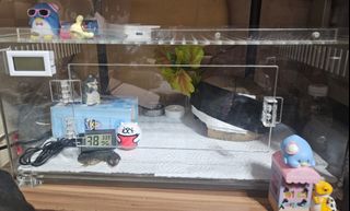 （分類：）位於 。 由 heyhkers 提交（商品編號 1458095988，圖片 1）。簡介： 。