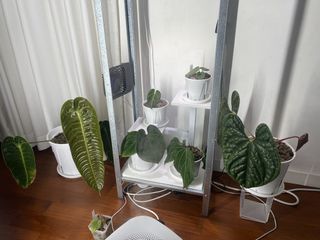 （分類：）位於 。 由 dykhss 提交（商品編號 1457920662，圖片 1）。簡介： 。