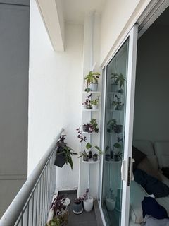 (Category: ) located in . Submitted by kiurated (Listing ID 1457982139, Image 1). Description: .