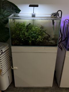(Category: ) located in . Submitted by azin_n (Listing ID 1457952651, Image 1). Description: .
