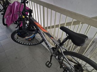 (Category: ) located in . Submitted by raisg (Listing ID 1457930915, Image 1). Description: .