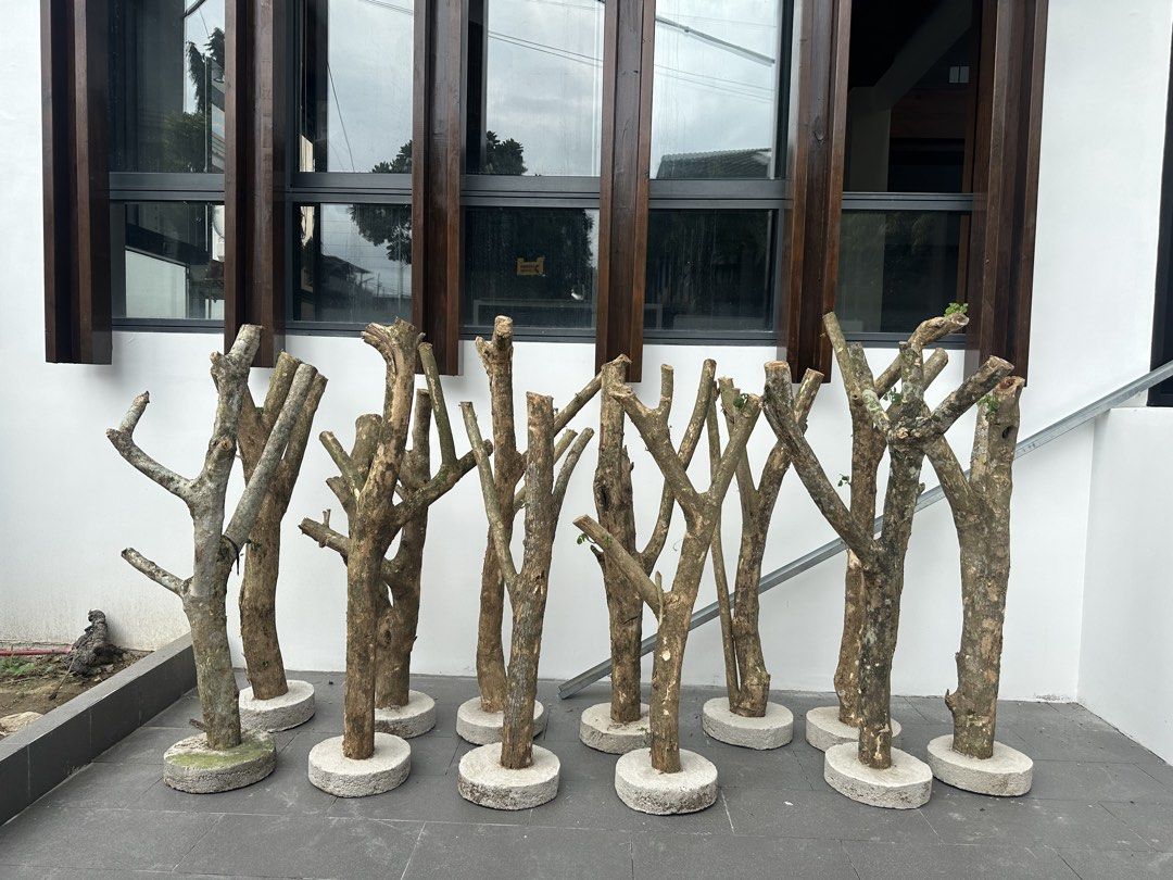 Driftwood for orchids (Category: Everything Else Others) located in Valenzuela. Submitted by kuyamikechu (Listing ID 1458071069, Image 1). Description: Driftwood for orchids .