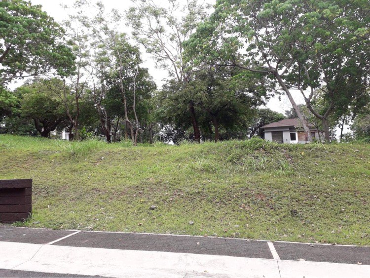 (Category: ) located in . Submitted by aaronlua (Listing ID 1457975386, Image 1). Description: .