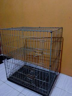 (Kategori: ) berada di . Dikirim oleh aryabambang. (ID iklan 1458045683, Gambar 1). Deskripsi: .