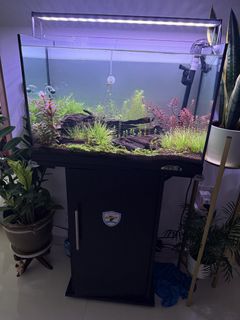 (Category: ) located in . Submitted by rlee8758 (Listing ID 1457985401, Image 1). Description: .