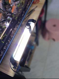 (Category: ) located in . Submitted by JadePalaceSG (Listing ID 1458001761, Image 1). Description: .