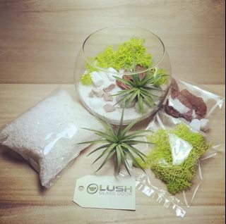 (Category: ) located in . Submitted by lushglassdoor (Listing ID 1458186022, Image 1). Description: .