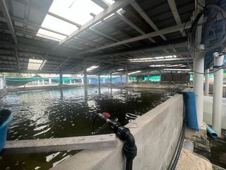 (Category: ) located in . Submitted by mudah1250771 (Listing ID 1456037196, Image 1). Description: .