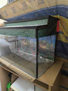 (Category: ) located in . Submitted by julia.hafiz (Listing ID 1458173597, Image 1). Description: .