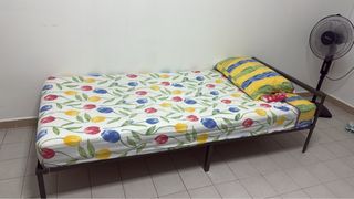 (Category: ) located in . Submitted by afloristsg (Listing ID 1458228303, Image 1). Description: .