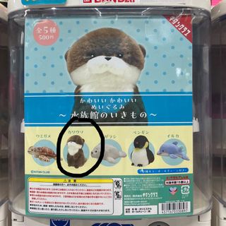 （分類：）位於 。 由 ckkk22 提交（商品編號 1458272138，圖片 1）。簡介： 。