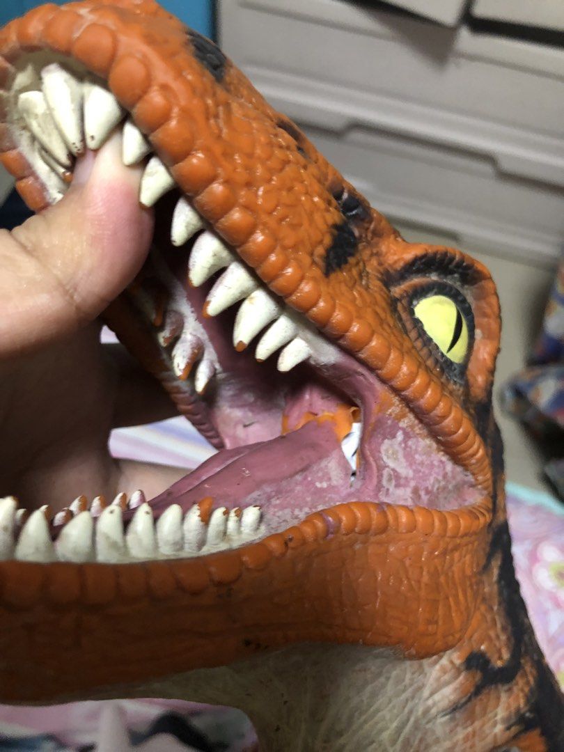 (RARE) THE LOST WORLD 1997 RAPTOR HAND PUPPET (Category: Vintage Collectibles) located in Manila. Submitted by xyrilmatthewperry84 (Listing ID 1458138557, Image 2). Description: THE LOST WORLD 1997 RAPTOR HAND PUPPET (RARE) ₱1,500 ✨ (FIXED) - honest issue: slight tear sa loob ng mouth (nasa pic) - other than that good condi! - can send vid if requested location: santa maria, bulacan mod: j&t and lalamove mop: gcash .