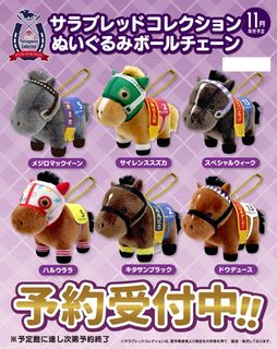 日本限量公仔 (Sanrio Characters, Mofusand, Chiikawa, Miffy, Disney, Mochhichichi) 收藏品 1