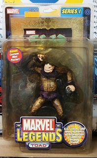 Marvel Legends  Collection item 1