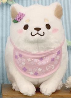 （分類：）位於 。 由 theoyip_s 提交（商品編號 1458444011，圖片 1）。簡介： 。