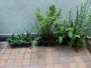 (Category: ) located in . Submitted by miliamchan (Listing ID 1458413804, Image 1). Description: .