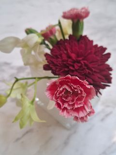 (Category: ) located in . Submitted by _twinkling (Listing ID 1449139368, Image 1). Description: .