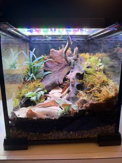 (Category: ) located in . Submitted by supersoil (Listing ID 1458445422, Image 1). Description: .