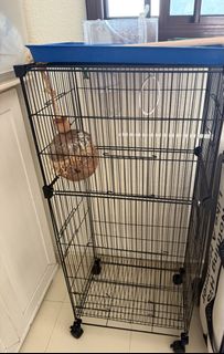 (Category: ) located in . Submitted by jayaugust15_22 (Listing ID 1458341258, Image 1). Description: .